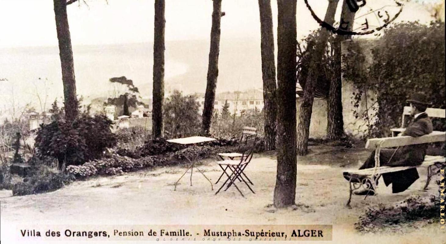 Alger-Mustapha-Superieur - Villa des Orangers.jpg